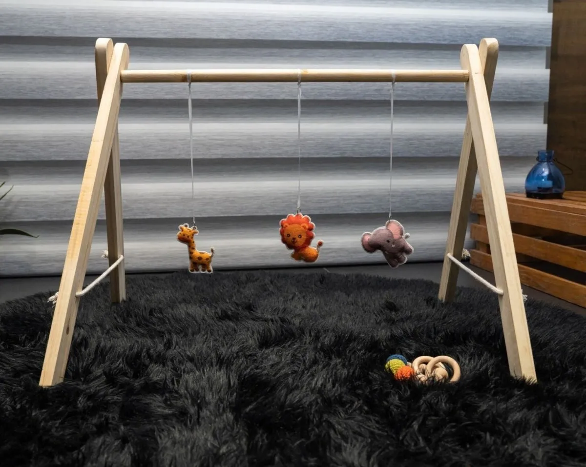 Rocking Potato Baby Activity Play gym- Felt Animals